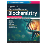 Lippincott Illustrated Reviews: Biochemistry 2/e 2024 (SAE) by Denise R. Ferrier