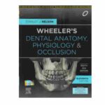 Wheeler's Dental Anatomy, Physiology And Occlusion By Stanley J. Nelson