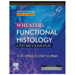 Wheater's Functional Histology A Text and Colour Atlas 7ed SAE PB 2024 by O'Dowd