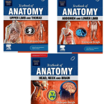 Textbook Of Anatomy By Vishram Singh ( Vol 1, 2 & 3)