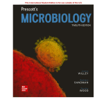 Prescott's Microbiology 12/e 2023 (ISE) by Dorothy Wood