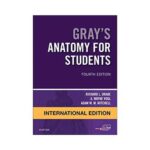 Gray'S Anatomy For Students 2020 International Edition 4th edition by Drake