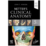 Netter's Clinical Anatomy (Netter Basic Science) 5/e 2023 by John T. Hansen