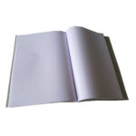 Prithvi's A4 sized 160 page notebook unruled
