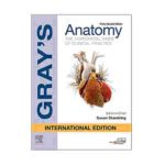 Gray'S Anatomy 42020 (International Ed.)