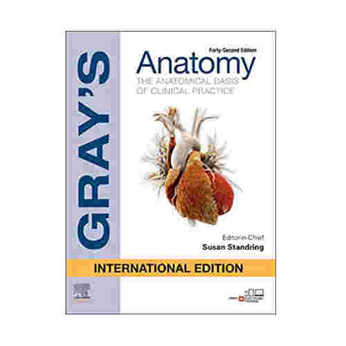 Gray'S Anatomy 42020 (International Ed.)