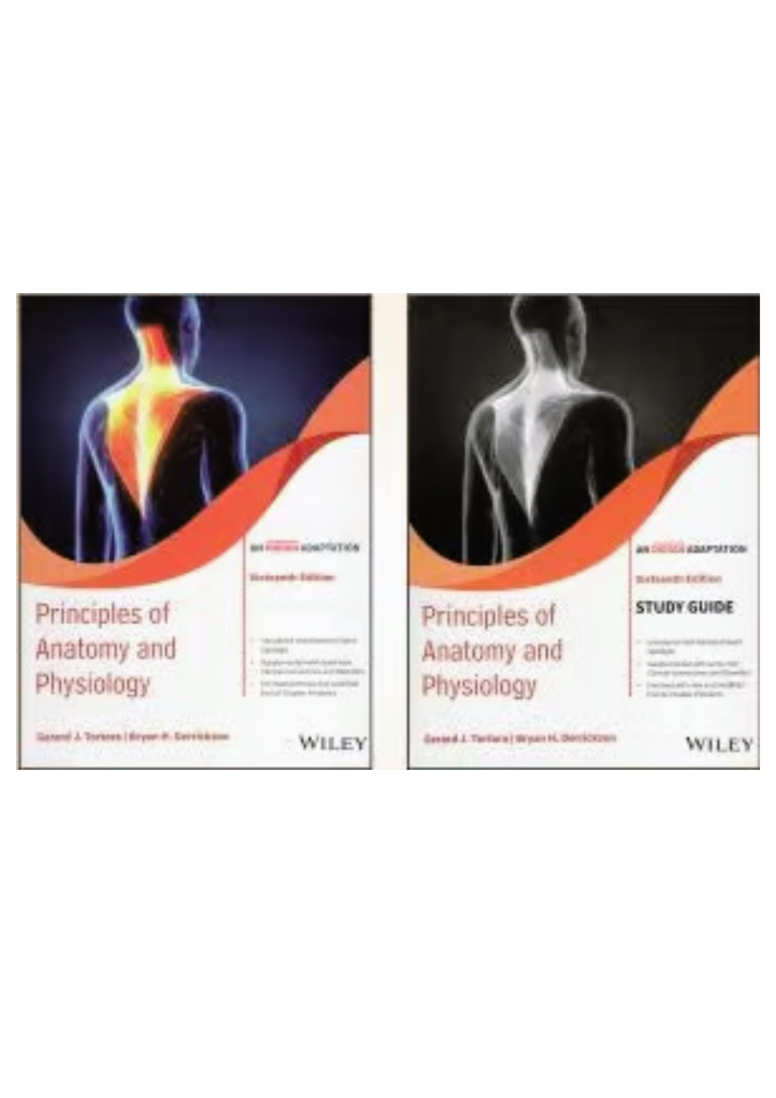 by　Anatomy　Prithvi　Book　J　Of　Textbook　Gerard　Edition　Guide　And　Global　Study　Tortora　Physiology　And　Tortoras　Store　Principles　Medical