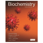 Biochemistry (International Edition) 10/e 2023 By Berg J M