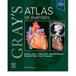 Gray's Atlas of Anatomy by Richard L Drake 4/e 2025