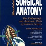 Skandalakis Surgical Anatomy The Embryologic And Anatomic Basis Of Modern Surgery - Vol.2 1/e 2004 By Skandalakis