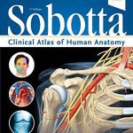 Sobotta Clinical Atlas of Human Anatomy, 1e 2019 by Friedrich Paulsen