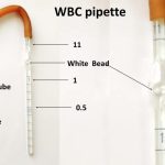 WBC PIPETTE (MERINFIELD GERMAN)
