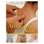 The Acupressure Atlas 1ed 2007 by Bernard C. Kolster M.D.