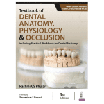 Textbook of Dental Anatomy, Physiology & Occlusion 3/e 2024 by Rashmi GS Phulari