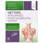 Netter's Integrated Musculoskeletal System: Clinical Anatomy Explained 1ed 2022 by Peter Ward
