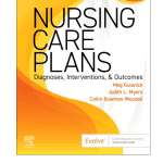 Nursing Care Plans 11/e 2025 by Meg Gulanick