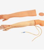 IV Injection Training Model - Image 3