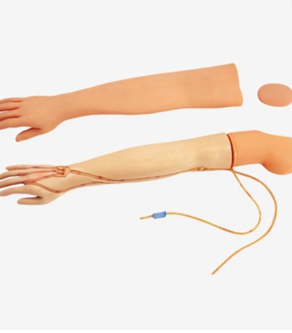 IV Injection Training Model - Image 3